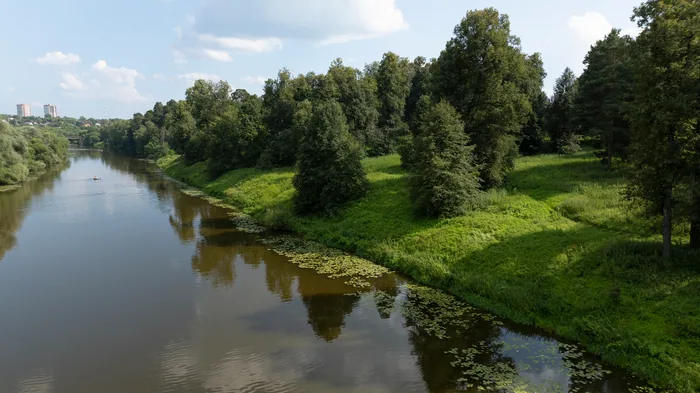 Нара под парком, берег с кувшинками